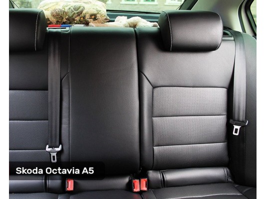 Каркасные авточехлы на Skoda Octavia A5 Каркасные авточехлы на Skoda Octavia A5